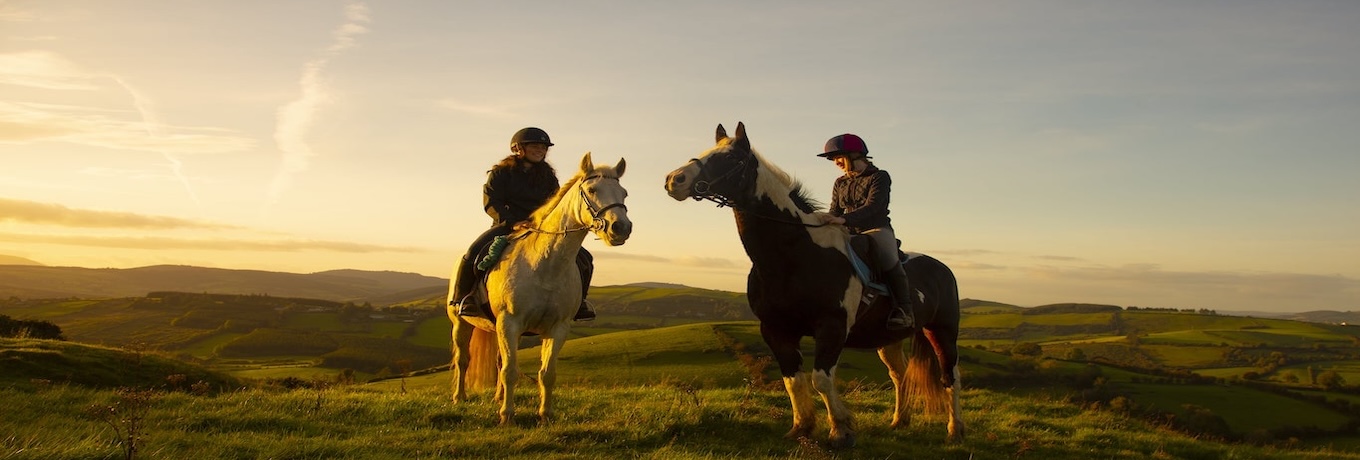 Horse Riding in Llandrindod Wells